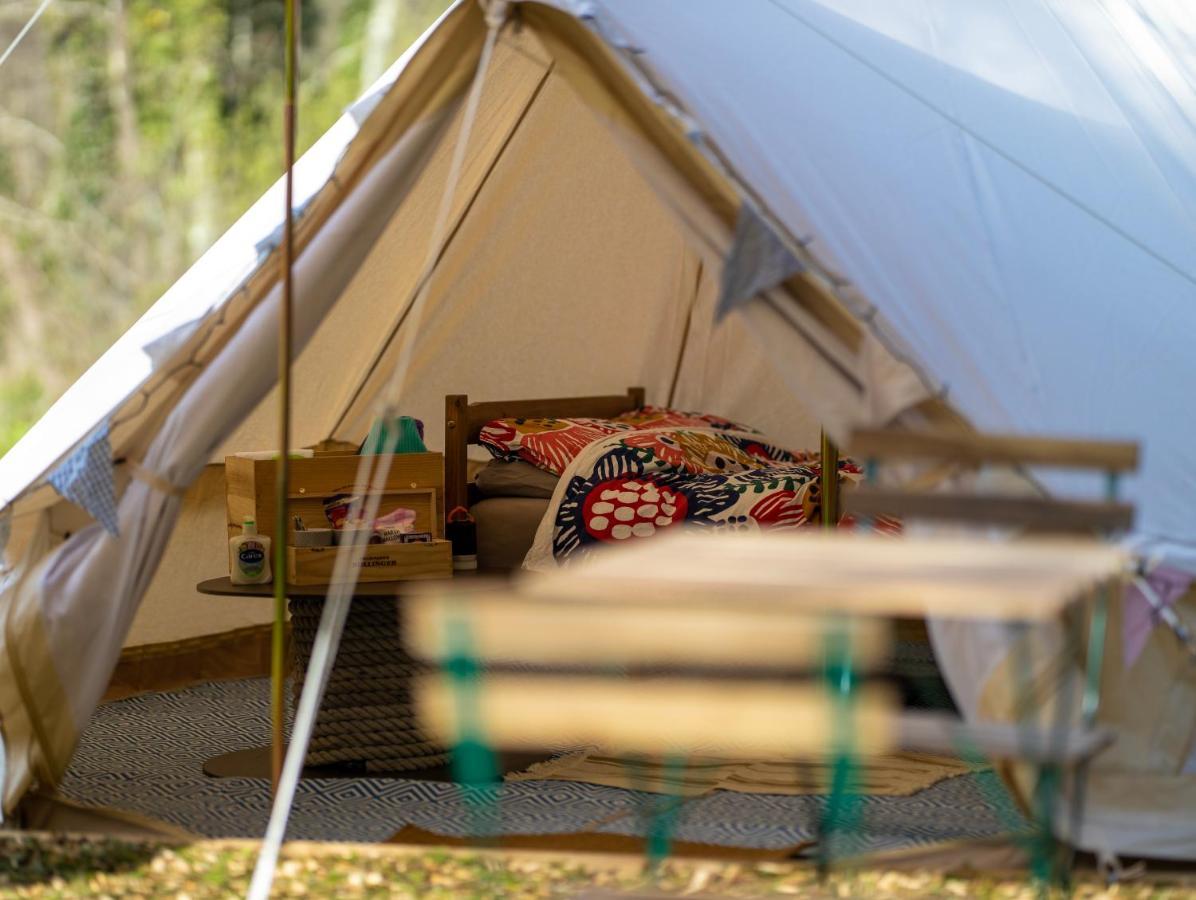 Naturally Glamping Kingsteignton Екстериор снимка